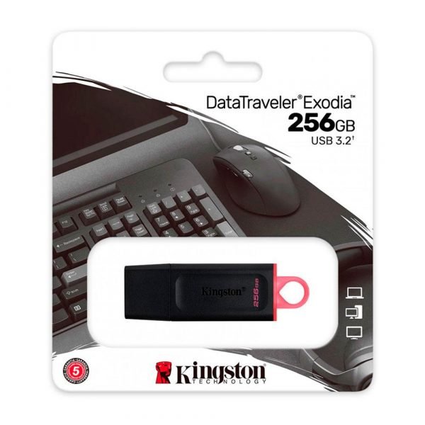 256GB USB3.2 Gen1 DataTraveler Exodia (Black + Pin